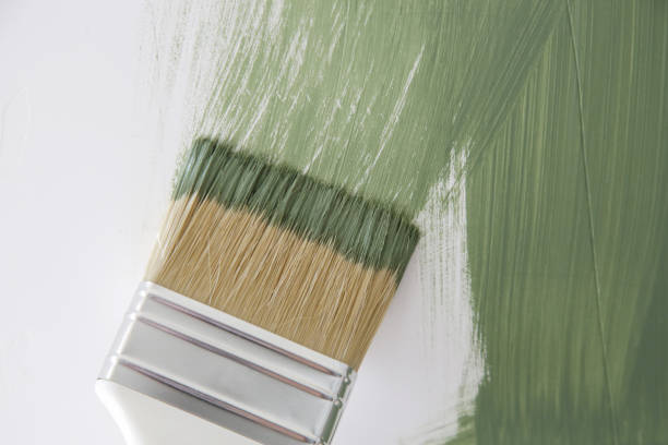 Best Emergency Mold Remediation  in Venetian Vlage, IL