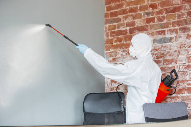 Best Comprehensive Air Testing for Mold Contaminants  in Venetian Vlage, IL