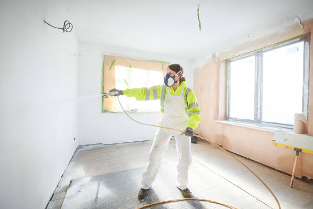 Best Asbestos and Lead Testing During Mold Inspection  in Venetian Vlage, IL