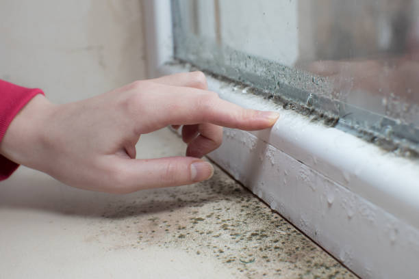 Best Mold Remediation for Healthcare Facilities  in Venetian Vlage, IL