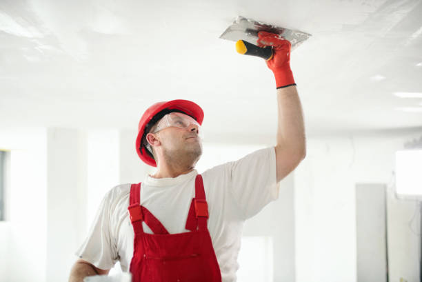 Best Mold Documentation for Insurance Claims  in Venetian Vlage, IL