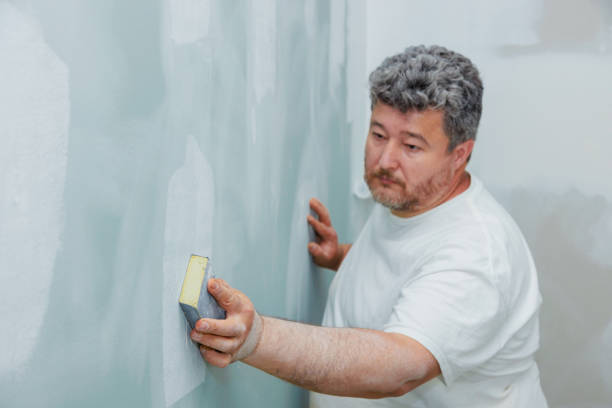 Best Environmental Consulting for Mold Prevention  in Venetian Vlage, IL