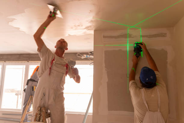 Mold Odor Removal Services in Venetian Village, IL