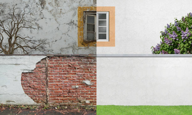 Best Real Estate Mold Inspection  in Venetian Vlage, IL
