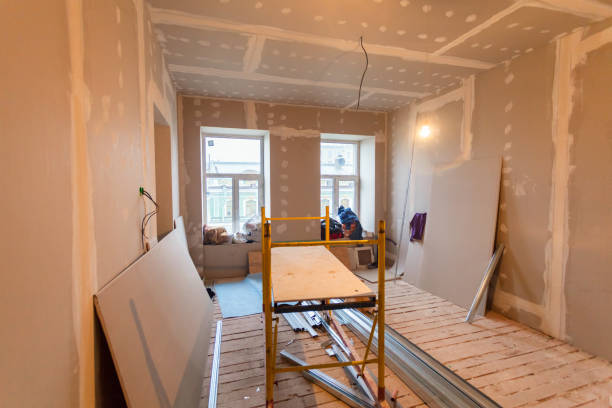 Best Mold Damage Restoration  in Venetian Vlage, IL